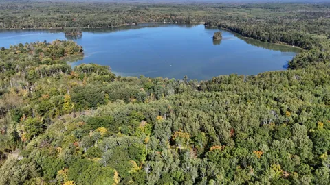 TBD Kego Lake Road