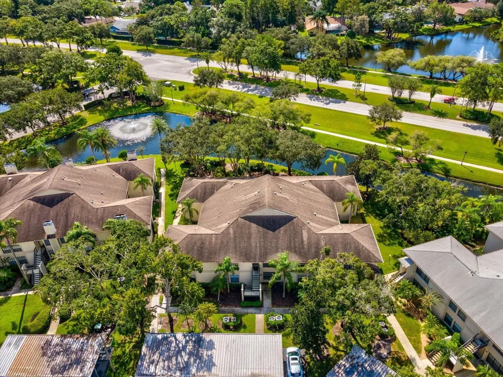 3358 MERMOOR DRIVE #102 Palm Harbor, FL 34685