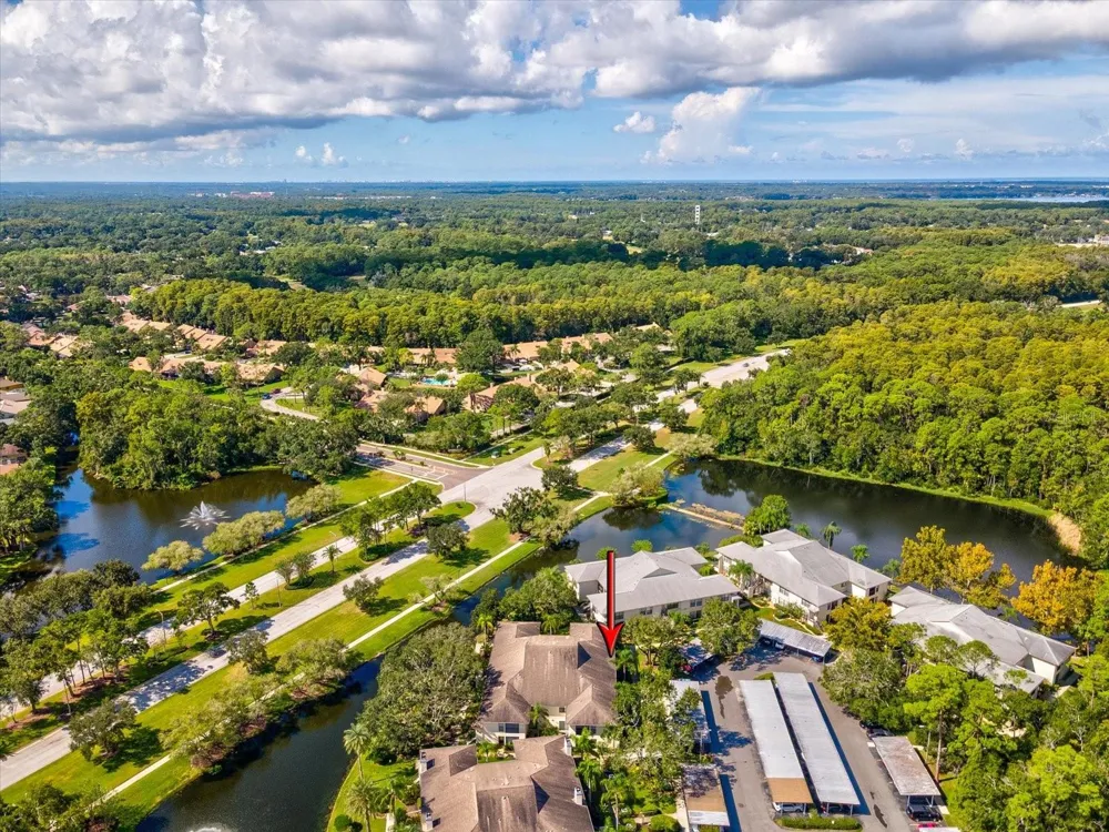 3358 MERMOOR DRIVE #102 Palm Harbor, FL 34685