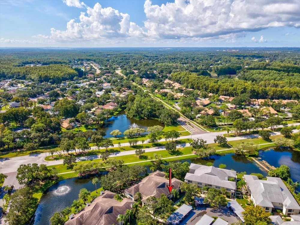 3358 MERMOOR DRIVE #102 Palm Harbor, FL 34685