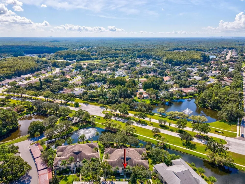 3358 MERMOOR DRIVE #102 Palm Harbor, FL 34685