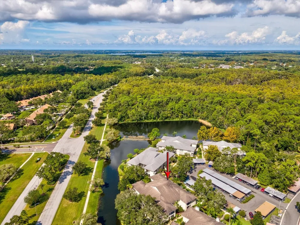 3358 MERMOOR DRIVE #102 Palm Harbor, FL 34685