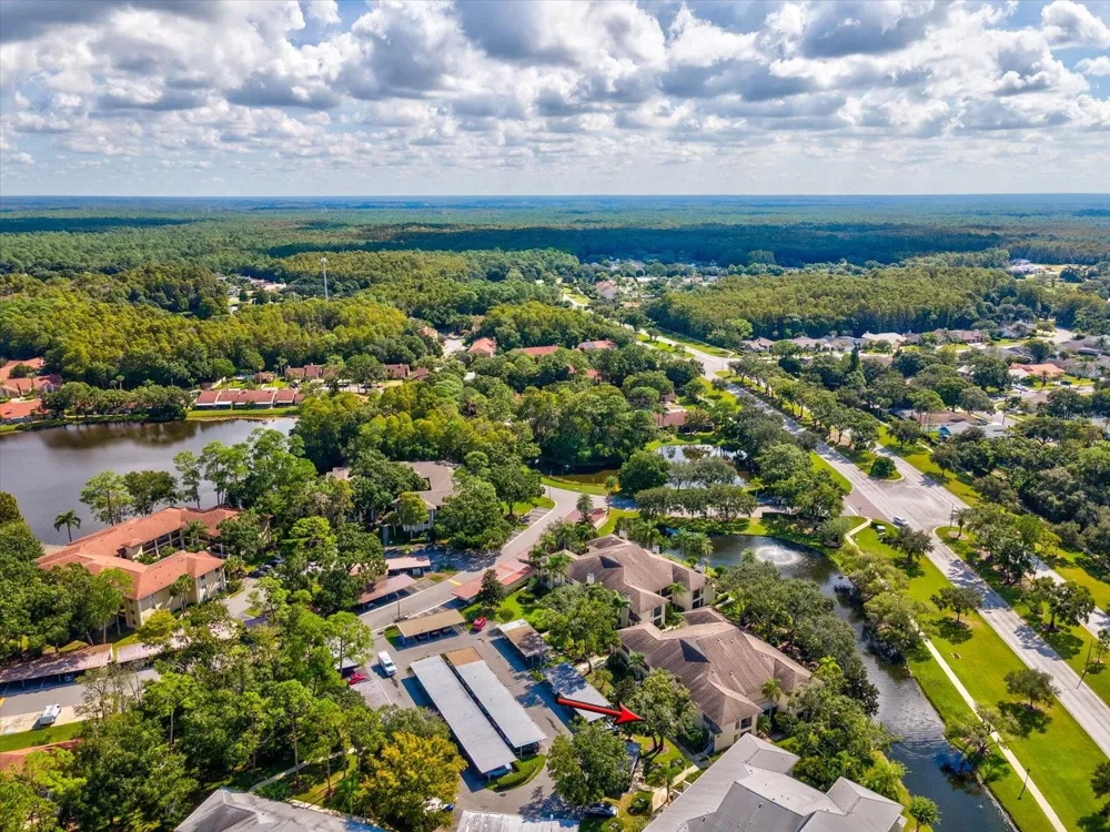 3358 MERMOOR DRIVE #102 Palm Harbor, FL 34685