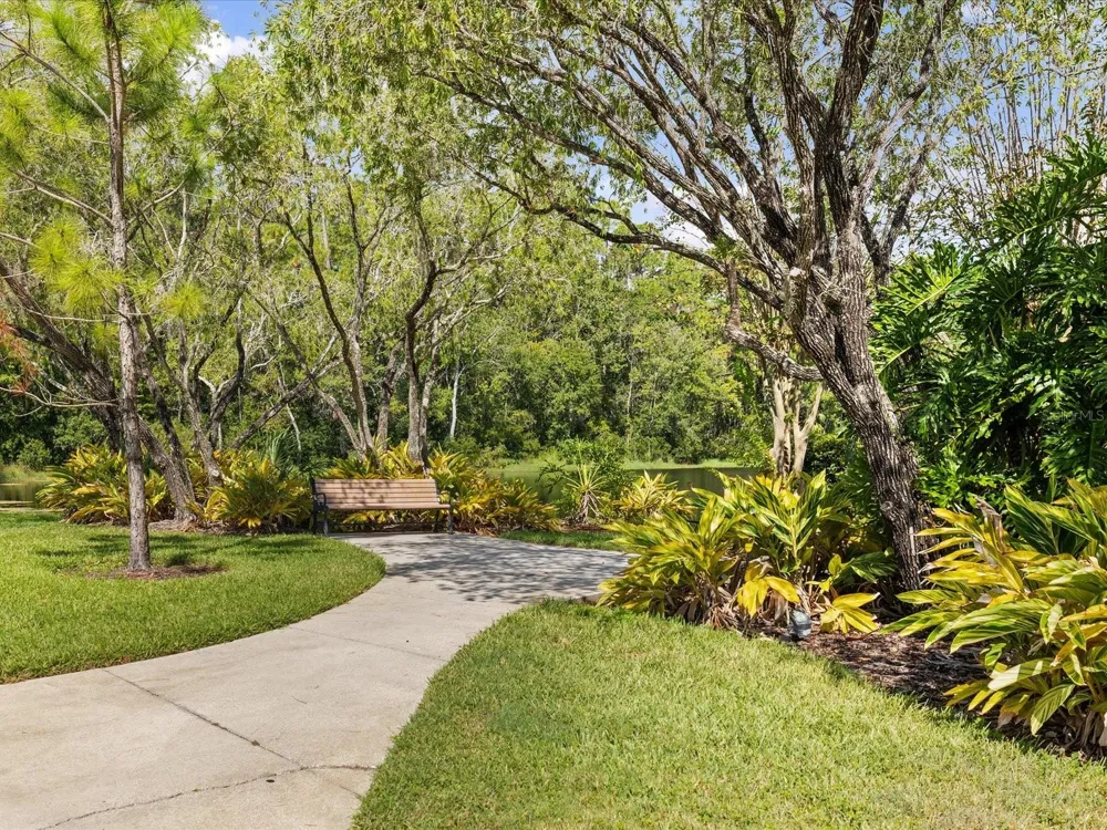 3358 MERMOOR DRIVE #102 Palm Harbor, FL 34685