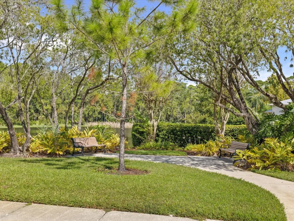 3358 MERMOOR DRIVE #102 Palm Harbor, FL 34685