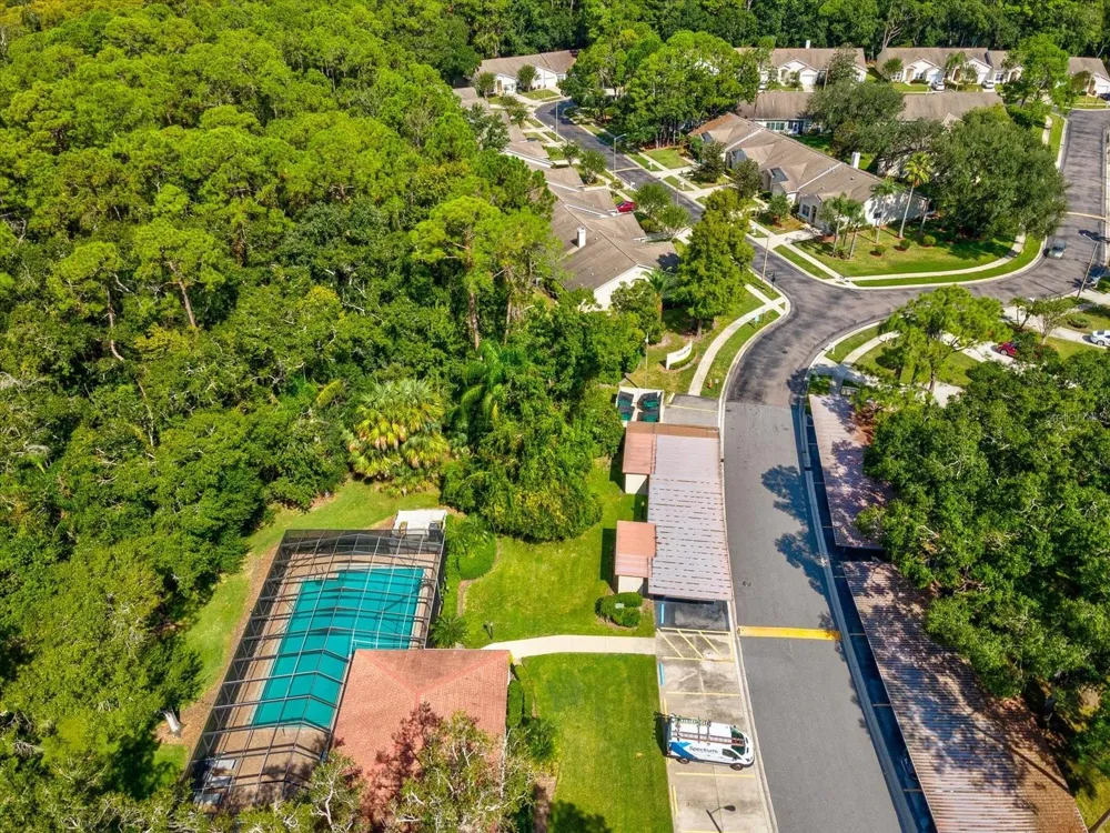 3358 MERMOOR DRIVE #102 Palm Harbor, FL 34685