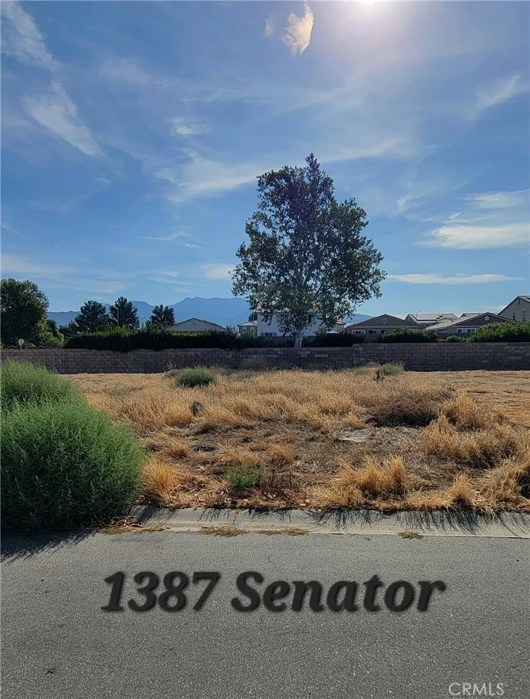 1387 Senator San Jacinto, CA 92583