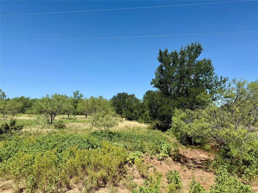 County Road 121 Cross Plains, TX 76443