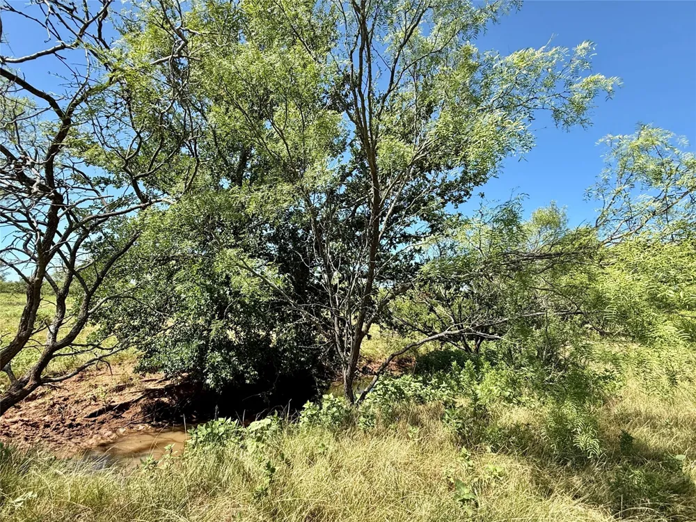 County Road 121 Cross Plains, TX 76443