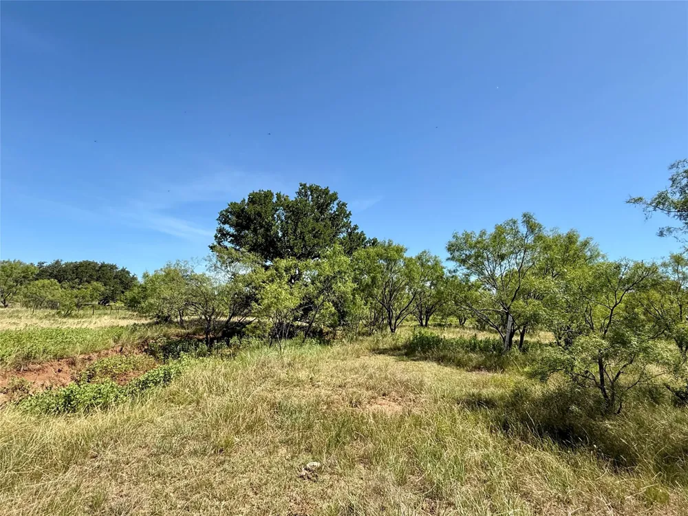 County Road 121 Cross Plains, TX 76443