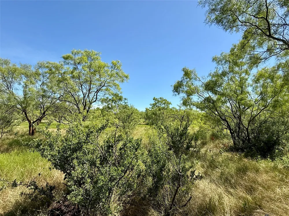 County Road 121 Cross Plains, TX 76443