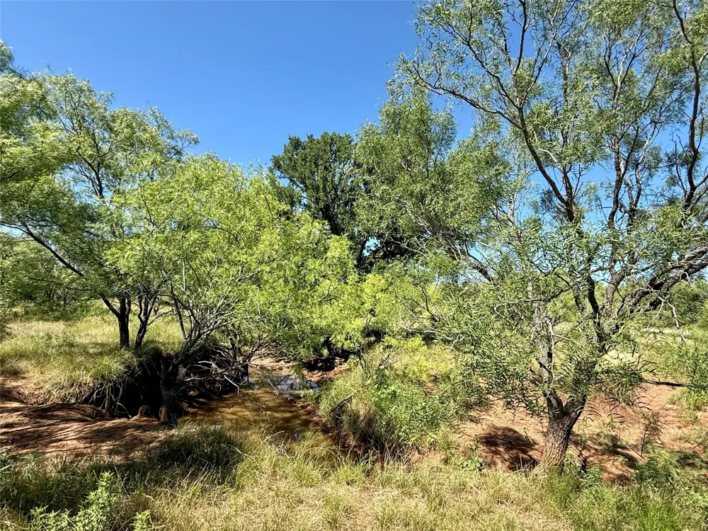 County Road 121 Cross Plains, TX 76443