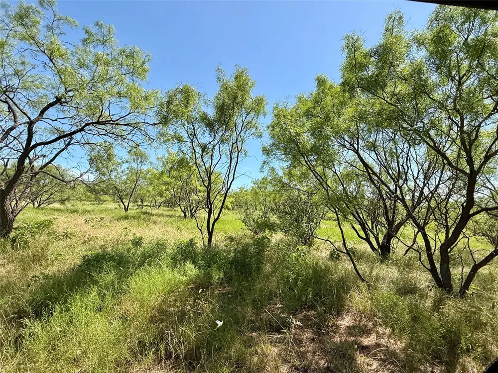 County Road 121 Cross Plains, TX 76443