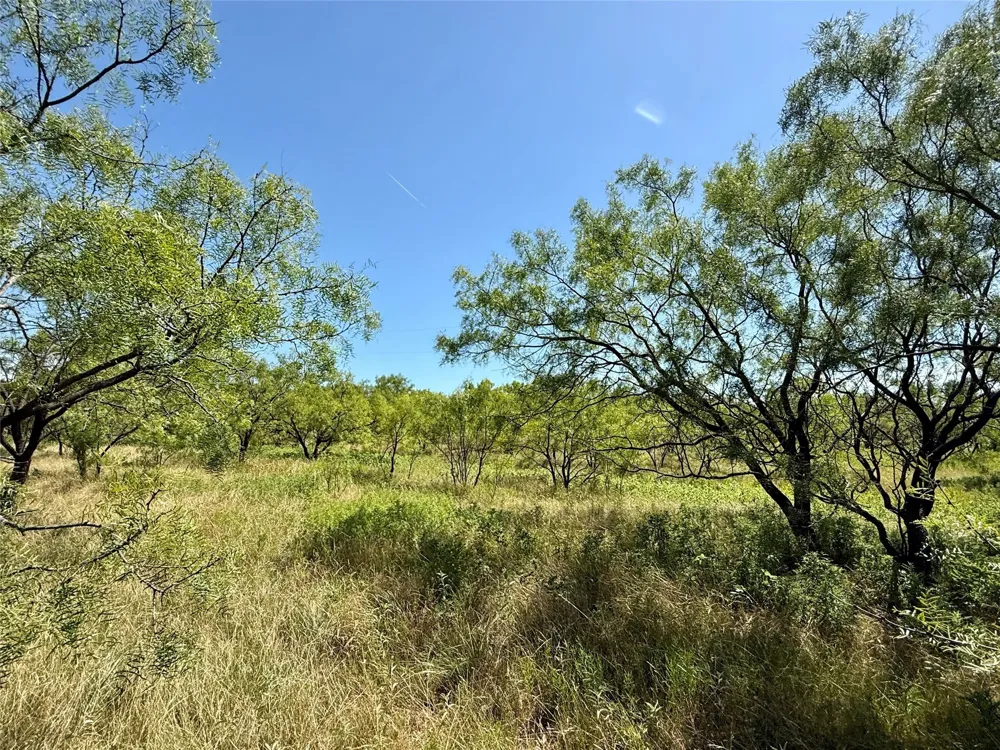 County Road 121 Cross Plains, TX 76443
