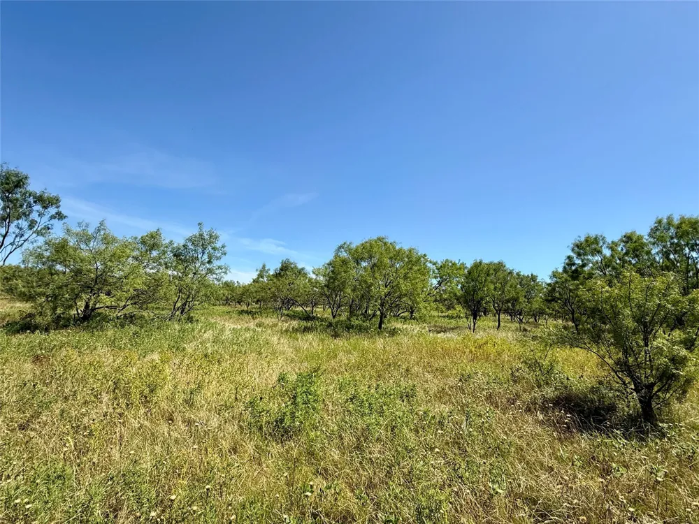 County Road 121 Cross Plains, TX 76443