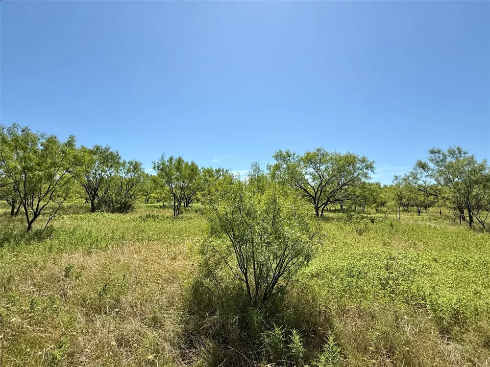 County Road 121 Cross Plains, TX 76443
