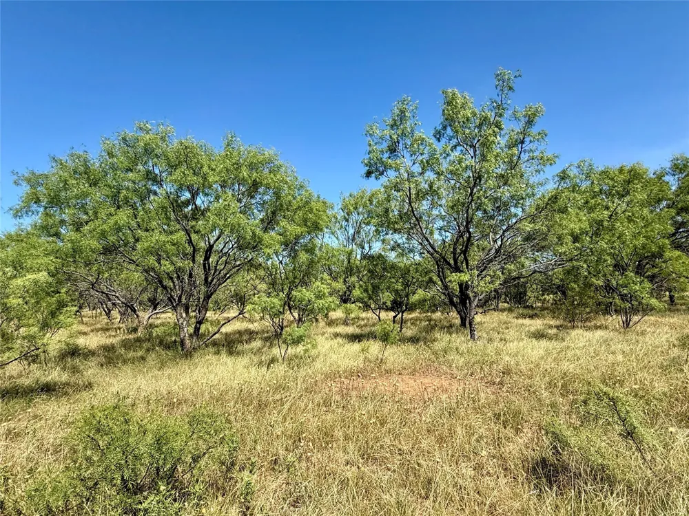 County Road 121 Cross Plains, TX 76443