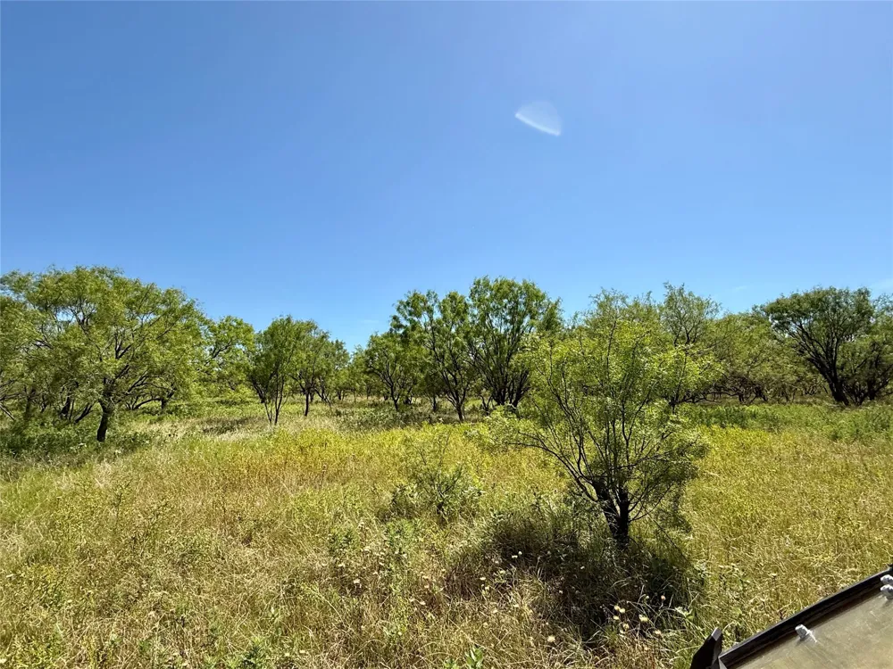 County Road 121 Cross Plains, TX 76443