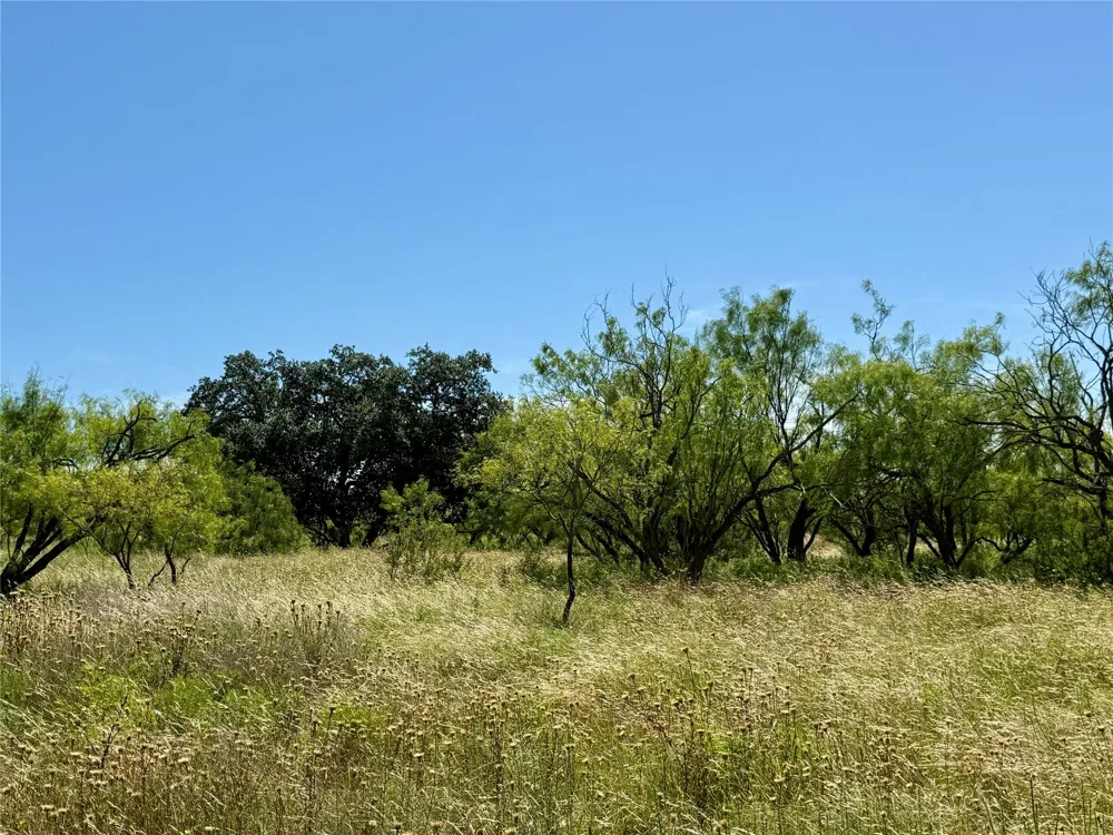 County Road 121 Cross Plains, TX 76443