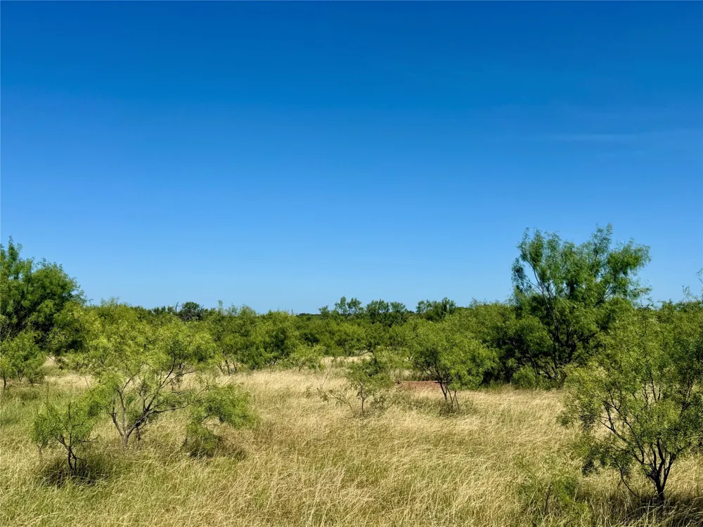 County Road 121 Cross Plains, TX 76443