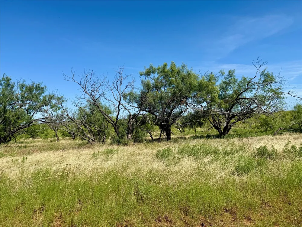 County Road 121 Cross Plains, TX 76443