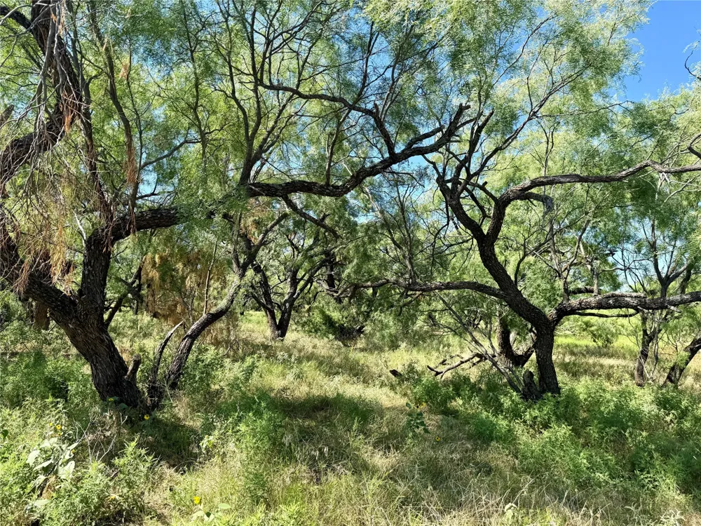 County Road 121 Cross Plains, TX 76443
