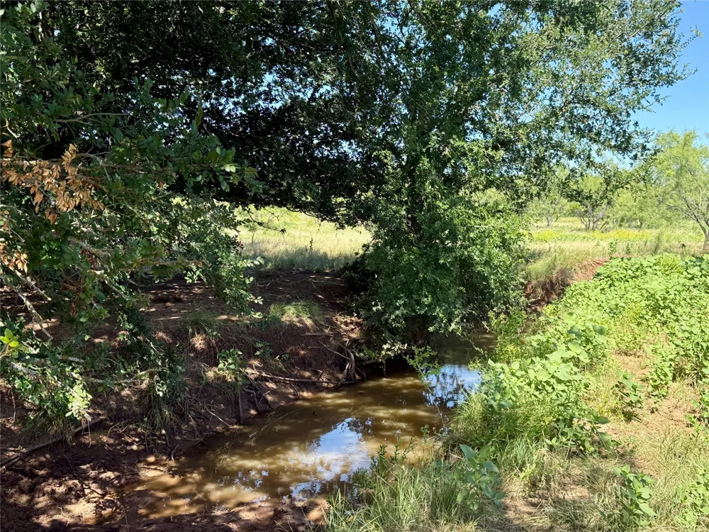 County Road 121 Cross Plains, TX 76443