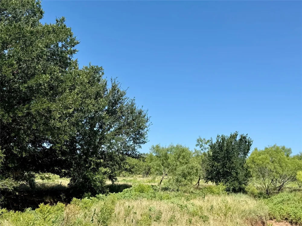 County Road 121 Cross Plains, TX 76443