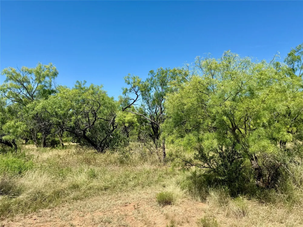 County Road 121 Cross Plains, TX 76443