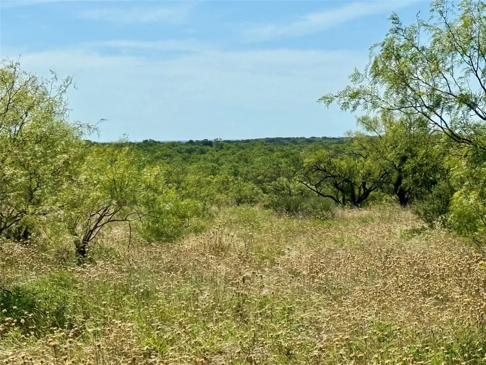 County Road 121 Cross Plains, TX 76443