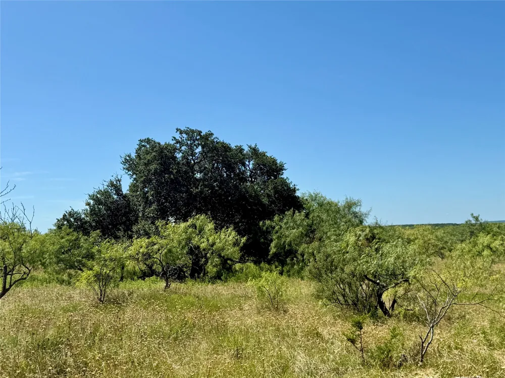County Road 121 Cross Plains, TX 76443