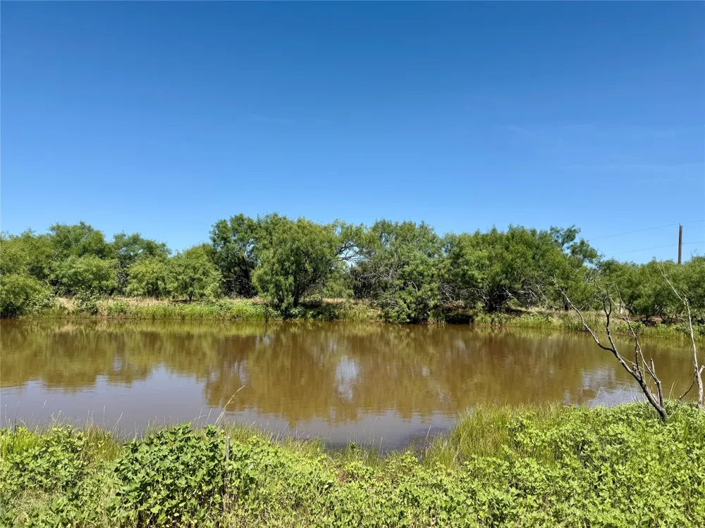 County Road 121 Cross Plains, TX 76443