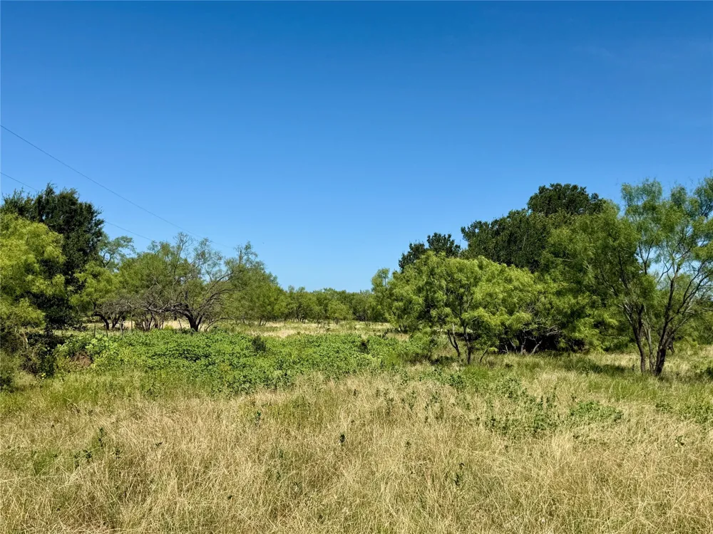 County Road 121 Cross Plains, TX 76443