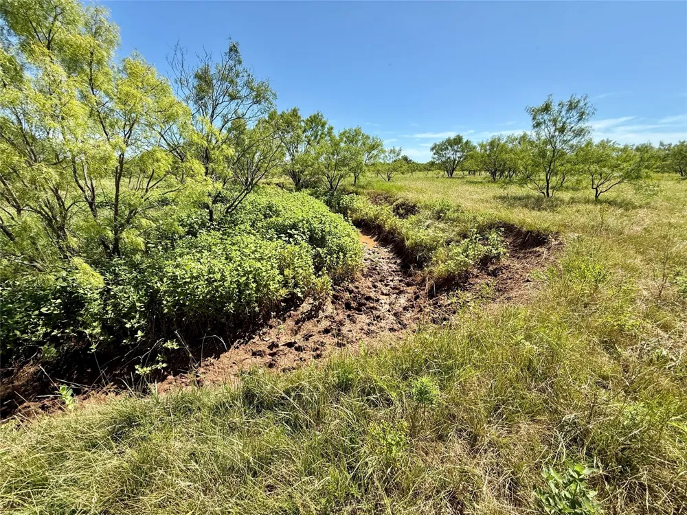County Road 121 Cross Plains, TX 76443