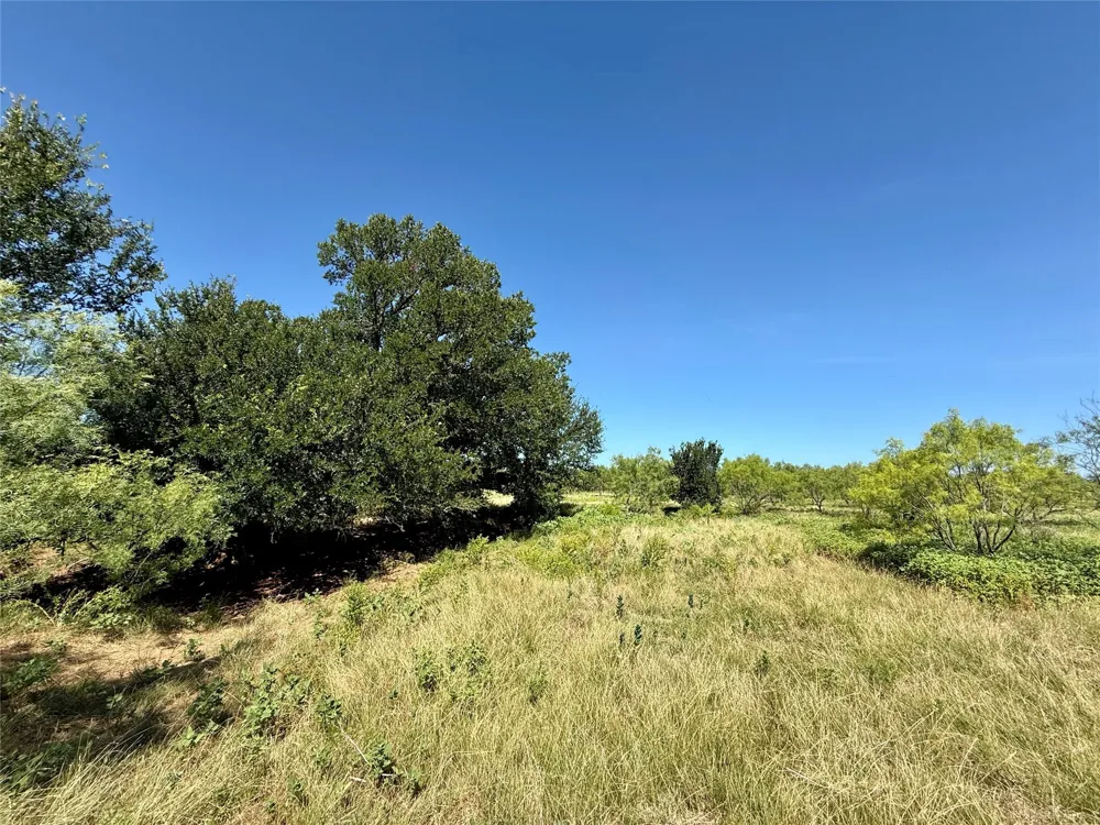 County Road 121 Cross Plains, TX 76443