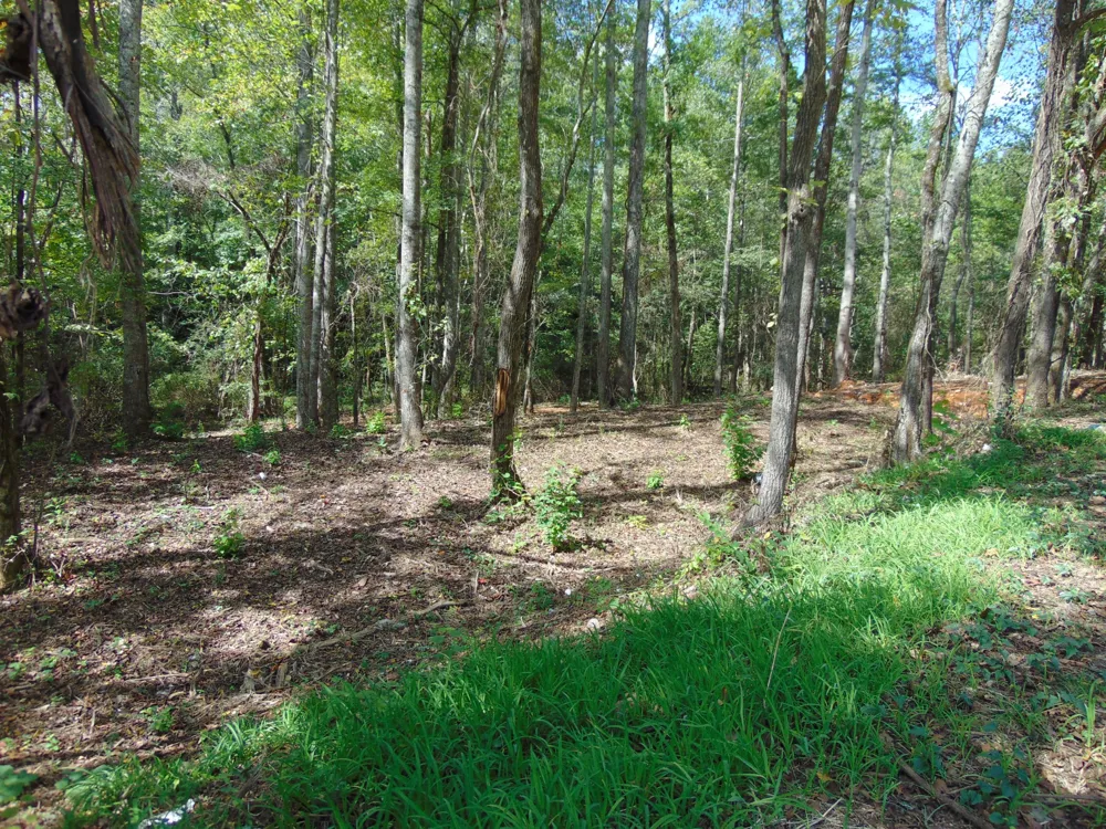 0 Alexander Springs Rd Ethridge, TN 38456