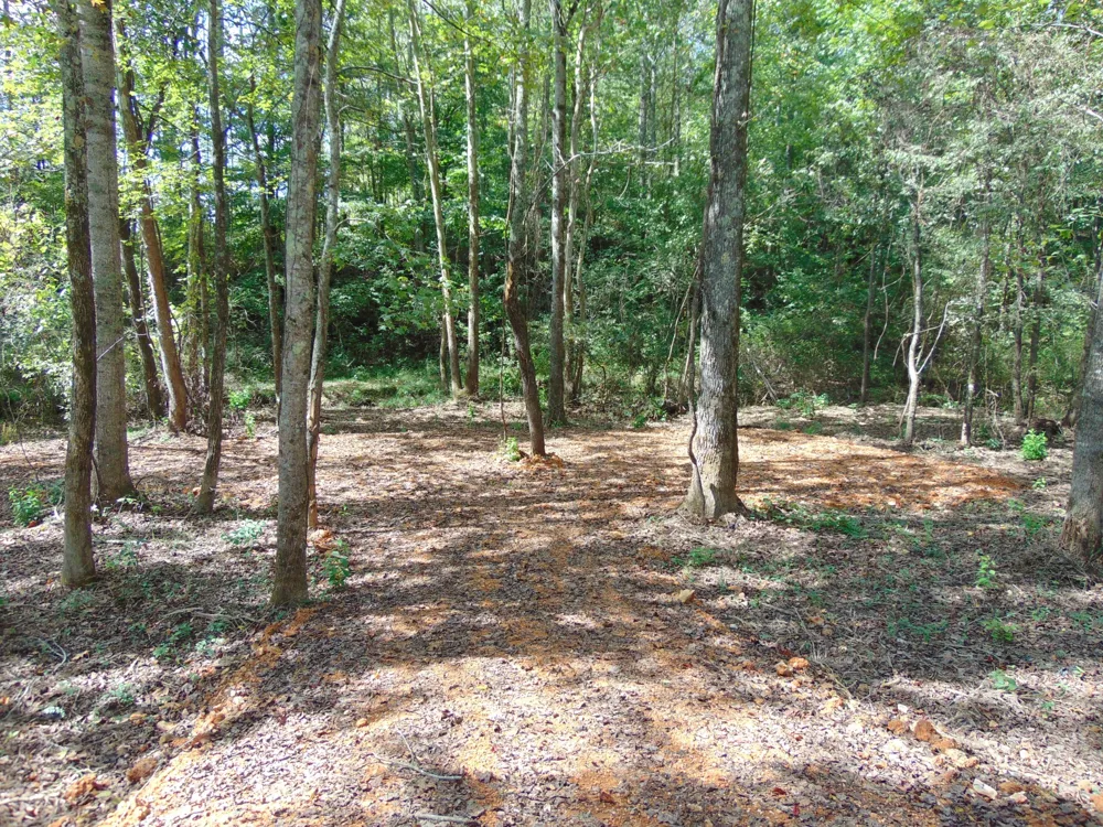 0 Alexander Springs Rd Ethridge, TN 38456