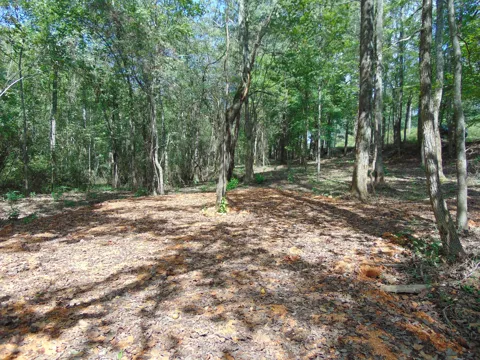0 Alexander Springs Rd