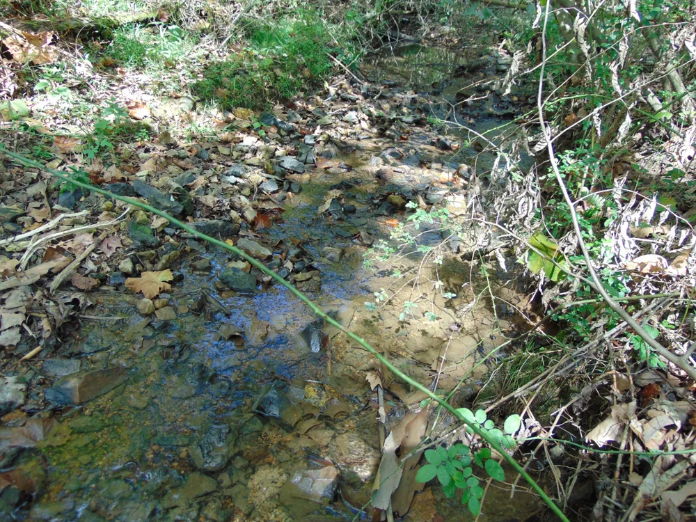 0 Alexander Springs Rd Ethridge, TN 38456