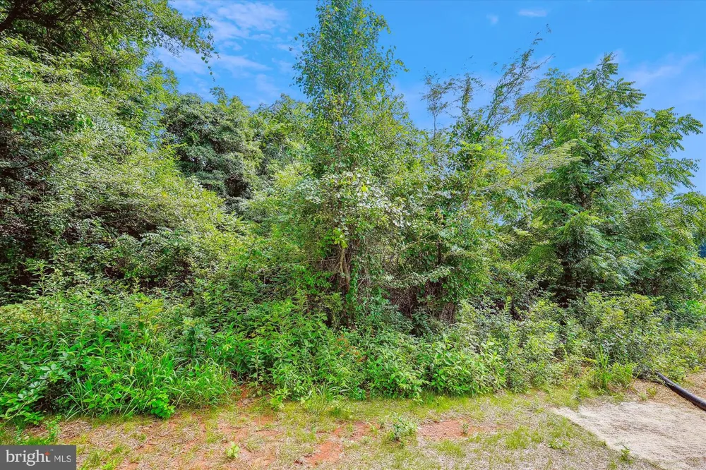 EGGBORNSVILLE ROAD Rixeyville, VA 22737