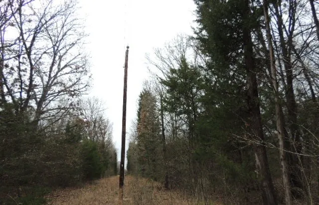 County Road 4455 Point, TX 75472