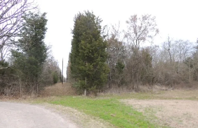 County Road 4455 Point, TX 75472