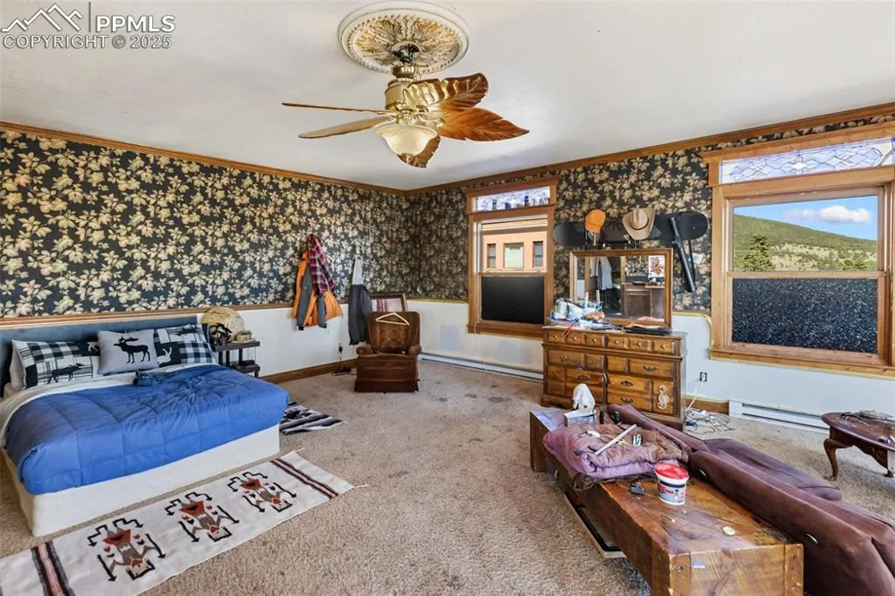 119 S 3rd Street Victor, CO 80860