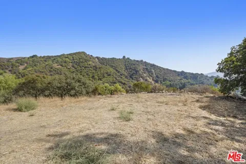 2088 Topanga Skyline Drive