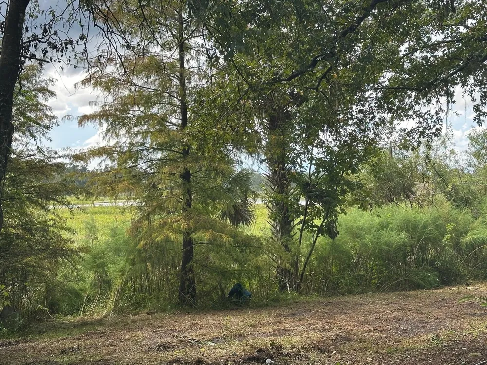 6661 E TURNER CAMP ROAD Inverness, FL 34453