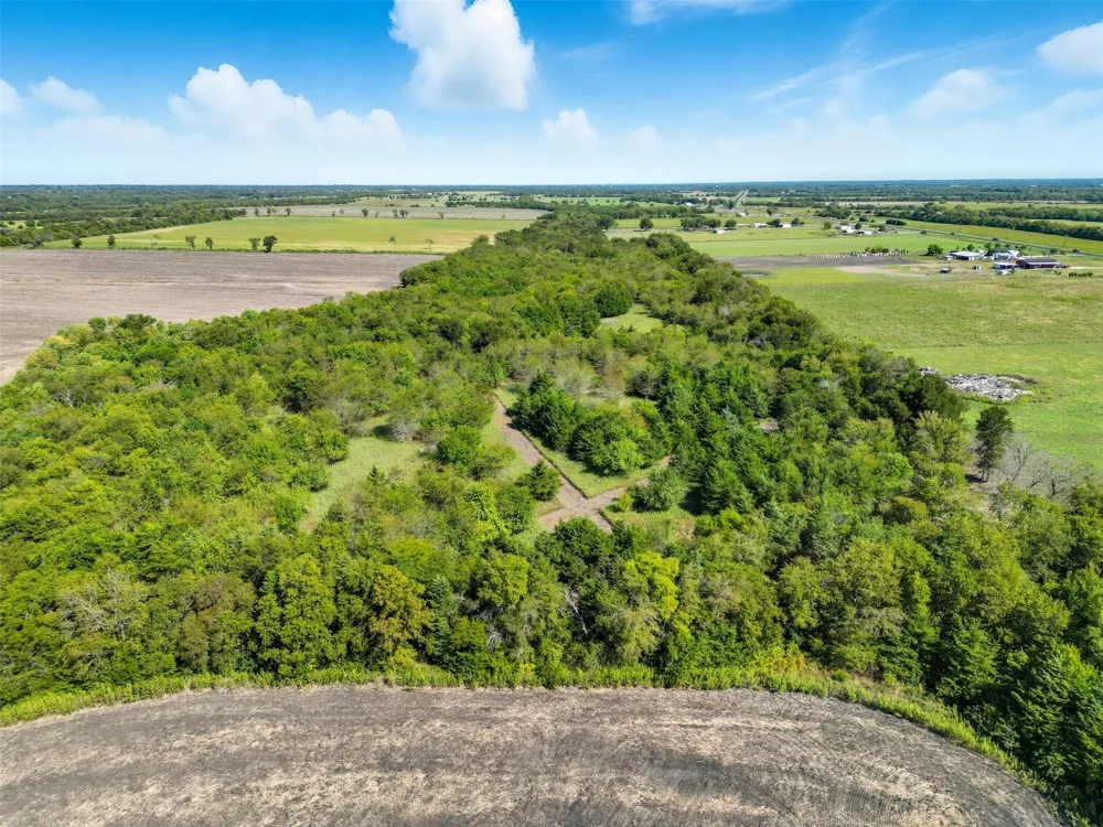 Off Fm 3427 Wolfe City, TX 75496