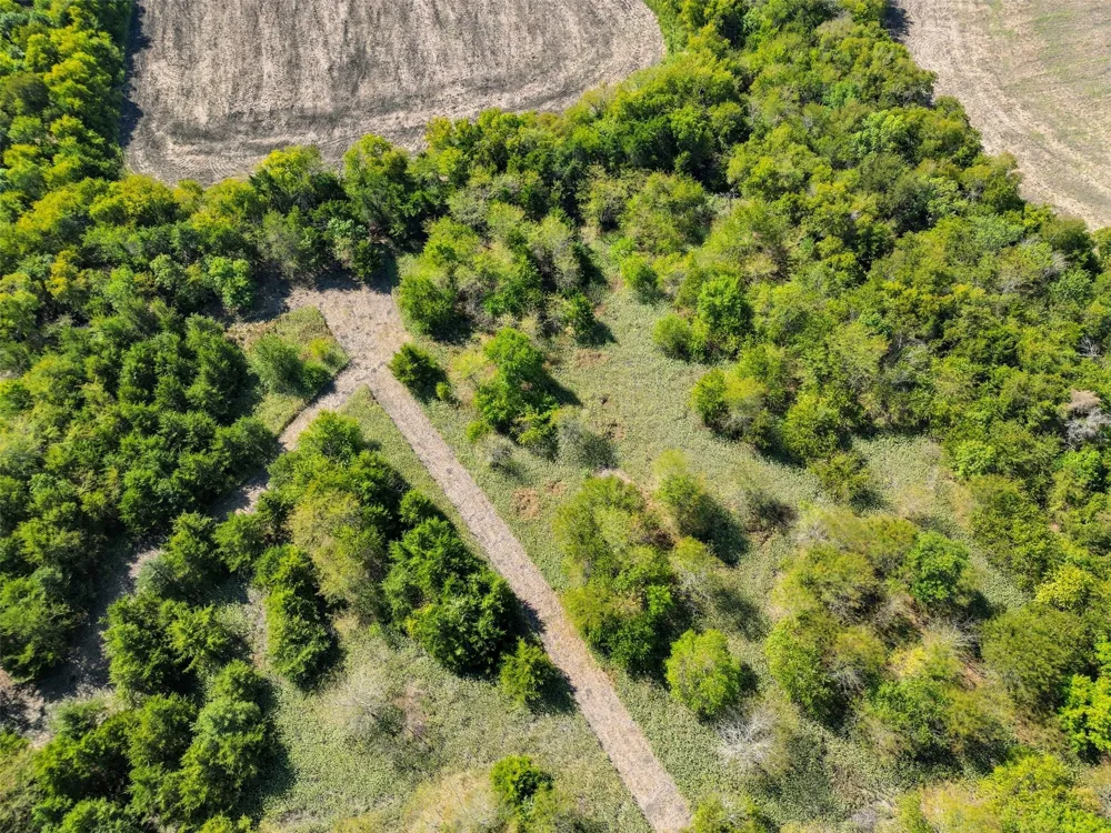 Off Fm 3427 Wolfe City, TX 75496