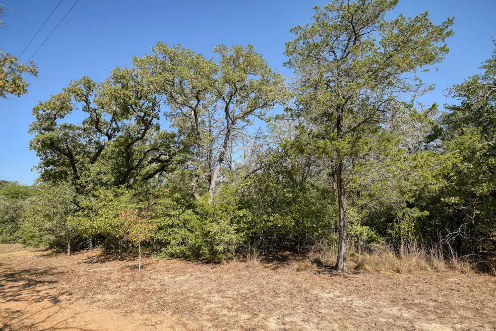 181 Lockwood Road Red Rock, TX 78662