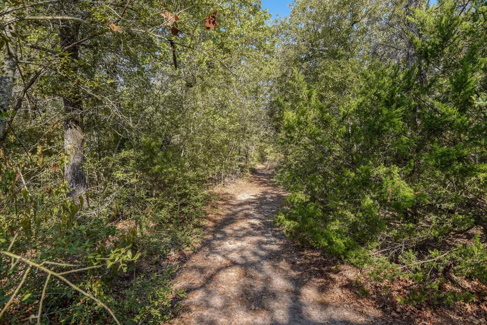 181 Lockwood Road Red Rock, TX 78662