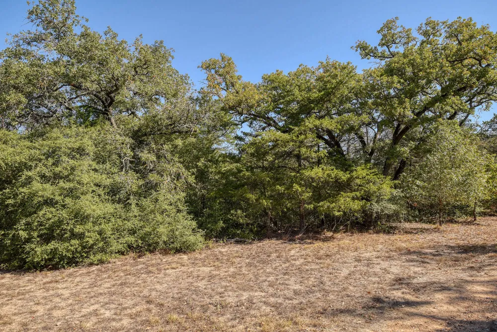 181 Lockwood Road Red Rock, TX 78662